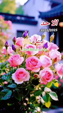 اللهم اجعل نهاية هذا الشهر نهاية الكل ماارهق قلوبنا #🤲🏻🍃🥺🤍#اللهم امين يارب العالمين 🤲🏻🍃✨🕊️