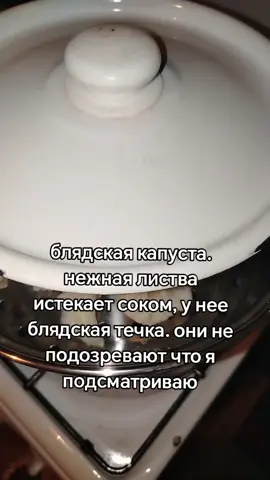 #биороботы #огород #брокколи #плесень 