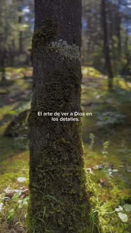 Es un arte apreciar cada creación de Dios! . . . . . . . . . . . . . . . . . . . . . #nature #god #motivacional #frases #fercontempla 