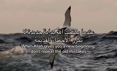 #muslimah #quran #قران 