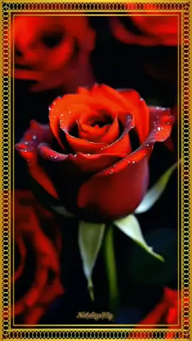 #nataliya32g #30 #ноября #день #матери #пусть #все #мамы #будут #счастливы #любимы #и #здоровы #❤️❤️❤️ 