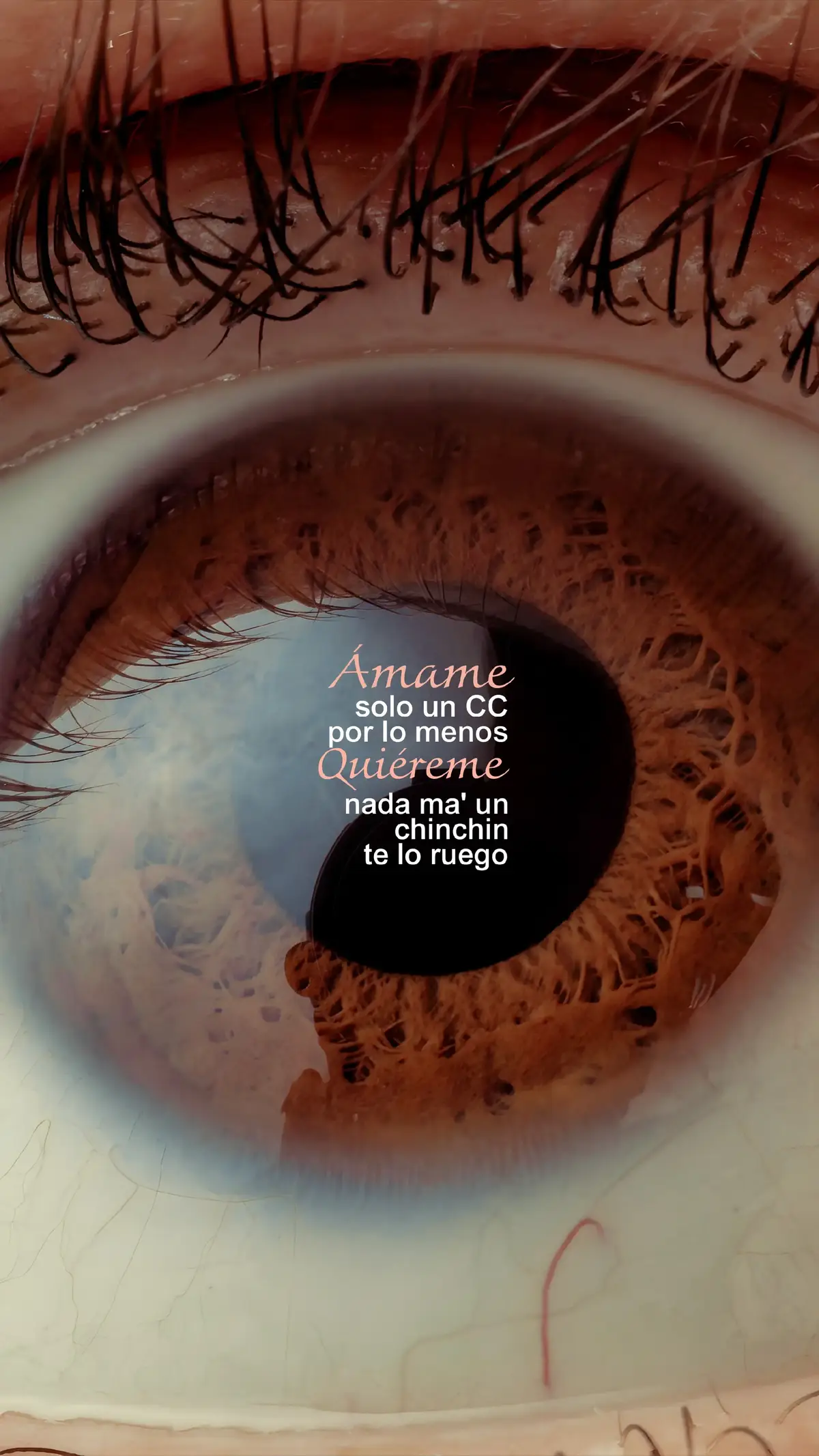 #dardos #romeosantos #princeroyce #fypp 