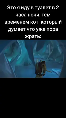 подпишись и поставь лайк  #мем #жиза #xyzbca #я #кот #мемы #fyp #прикол #мемы #fyp #прикол #mem #рек 