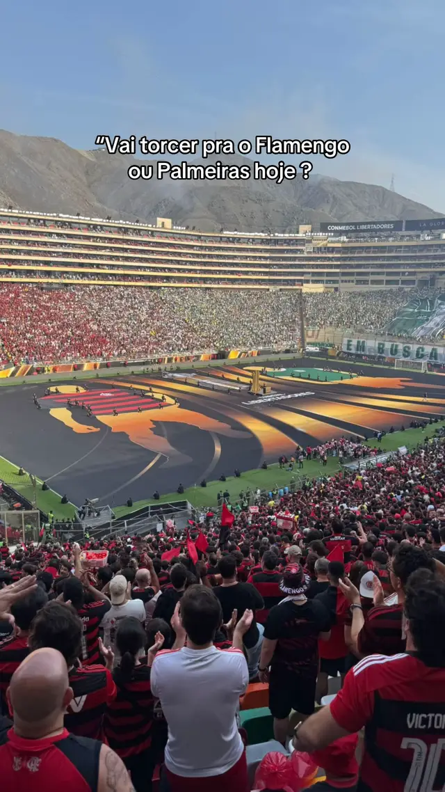 #estresse #flamengo #libertadores #cortisol 