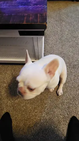 He acts like he cant hear me...#followers 