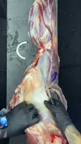 ASMR | Sonidos reales de carnicería 🔪 Cuadrada 🥩 #asmr #asmrsounds #asmrvideo #carniceria #butcher      