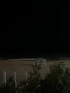 #fyp#explor#sea#nature#alexandria 