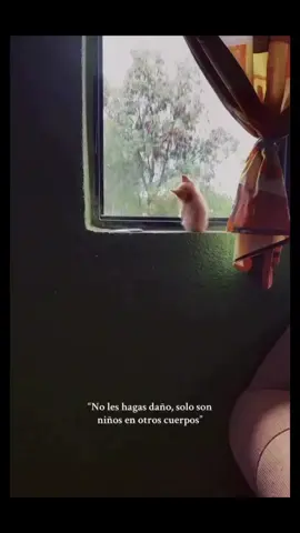 #amor #nostalgia #sentimientos #recuerdos #reflexion 