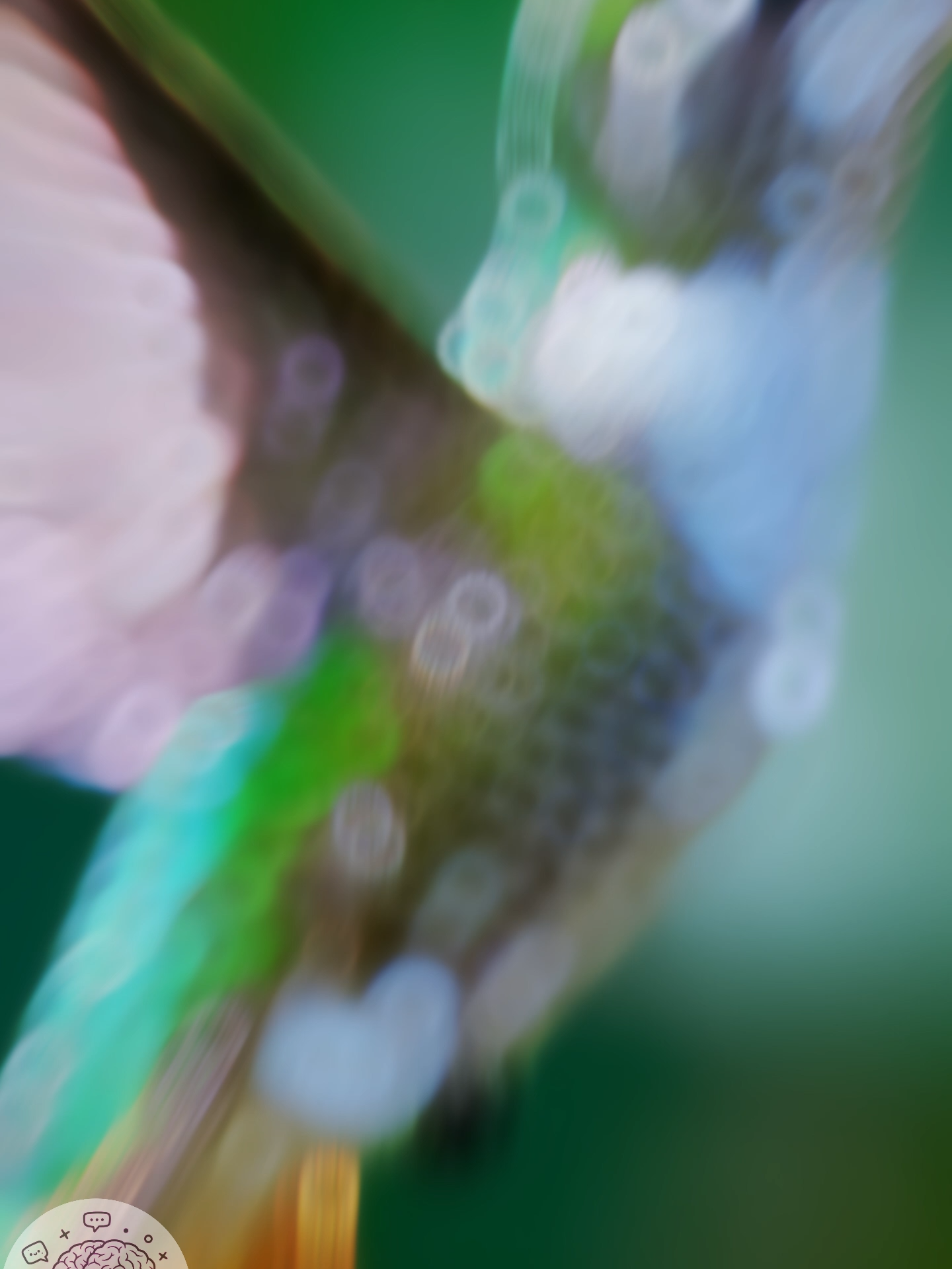 El colibrí - la máquina imposible