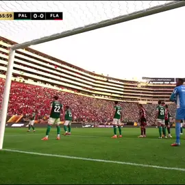 GOL DO DANILO NA FINAL DA LIBERTADORES! SEREMOS TETRA!♥️🖤#petercrf #futebol #flamengo #libertadores 