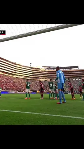 GOL DO FLAMENGOOO!!! #flamengo #flamengoxpalmeiras #libertadores #finaldalibertadores #goldoflamengo 