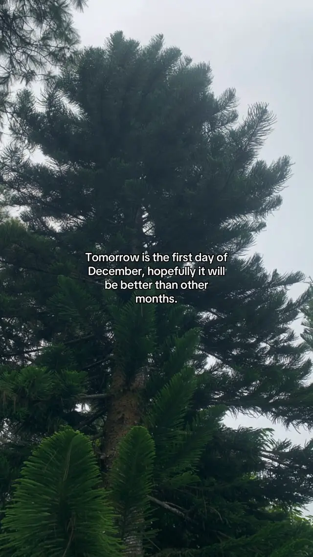 #fyppppppppppppppppppppppp #december 