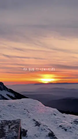 In tutte le cose che vivo  #davidescavolini 