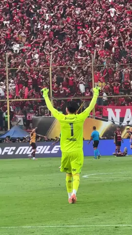 ⚽️ O ROSSI FICOU MALUCO COM O GOL DO DANILO 🧤🤩❤️ | @Flamengo  #Flamengo #Libertadores #GloriaEterna #Futebol #TikTokEsportes 
