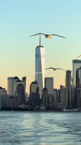 November in New York #nyc #futurefree 