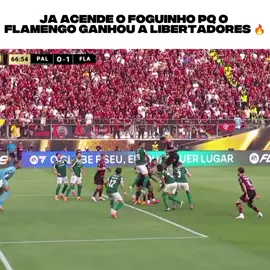 já acendi ai#libertadores #flamengo #palmeiras #edit 