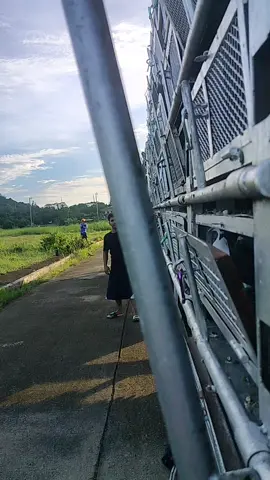 APR CLUB #wingmaster #fyp #kalapatidsph🇵🇭 #KALAPATI #fyppppppppppppppppppppppp 