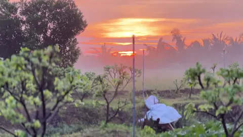 🌺 không khí tết phải hông taaa ??🌸#tet #tet2026🧨🧨🧨🧨🧨🧧🧧🧧 #xuhuong #xuhuongtiktok #viral 