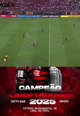 Flamengo Treta campeão da libertadores após vencer o Palmeiras com gol do Danilo 