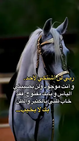 #ستوريات #تيك_توك #أكسبلورر #فولو #fyp 