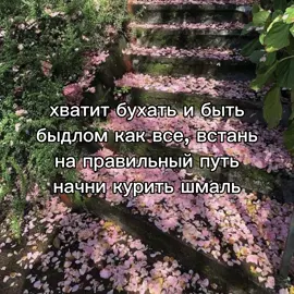 #щп #щитпост 