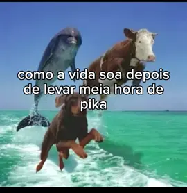 leve e tranquila (nunca me ocorreu) #fyp #fypシ゚ #fyy #foryoupage #memestiktok 