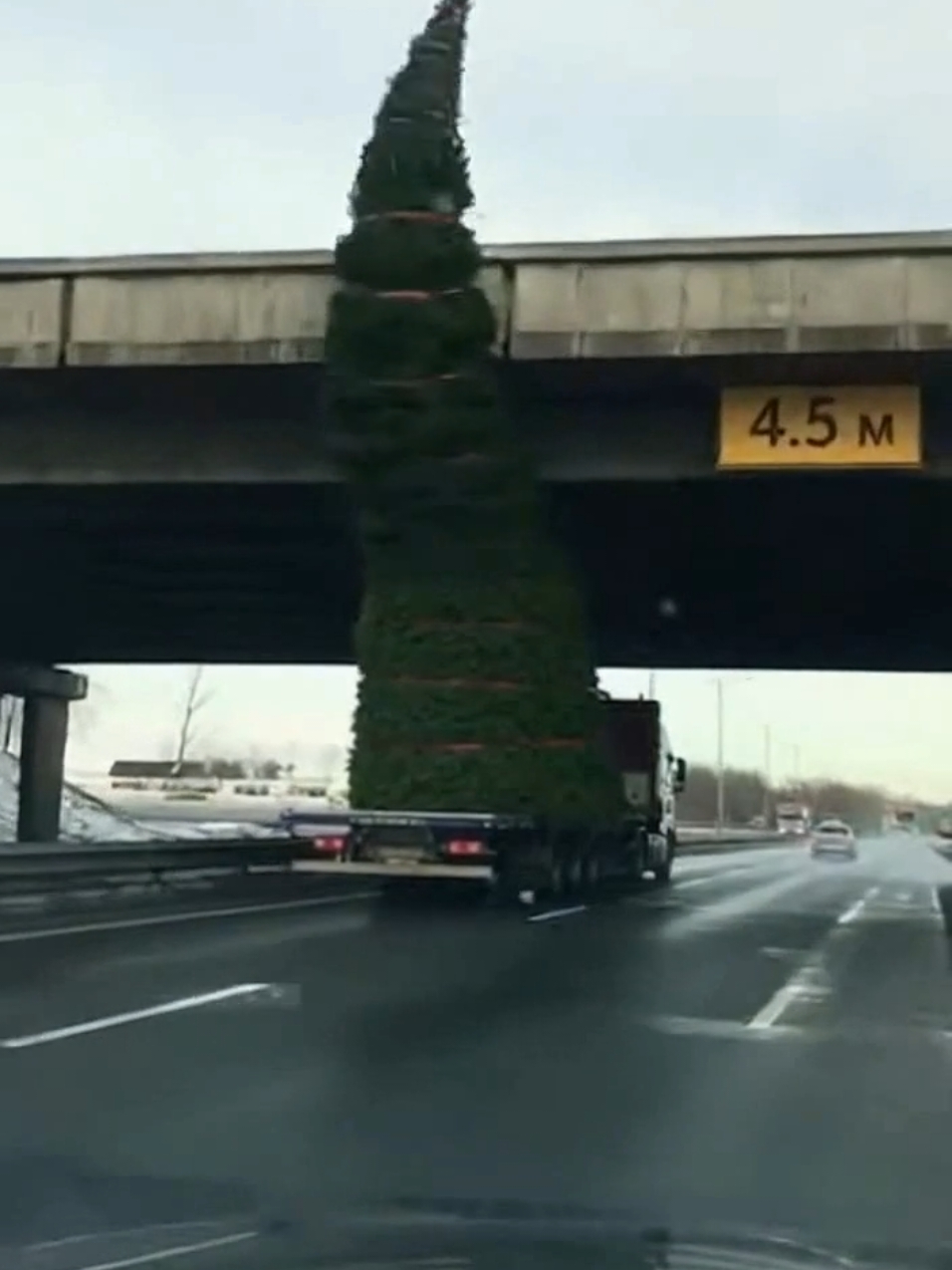 С Наступающим Новым Годом!🧑‍🎄🎅🌲 #yuliana_princessa #елка #снеговик #дедмороз #ре #новыйгод #fyp #Рек #новыйгод2026 #рекомендации #снегурочка 