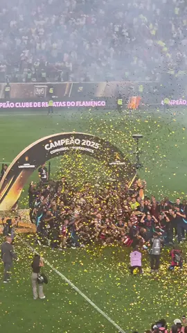 LLUVIA DE ORO! 🏆🏆🏆🏆❤️🖤 #Flamengo #futebol #Libertadores #TikTokEsportes 