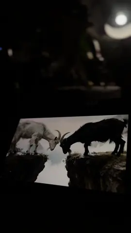 ايش تواقعاتكم للحلقه الجايه؟👩🏻‍🦯#هذا_البحر_سوف_يفيض #كوتشاري #البحر_الاسود #قصه_عشق #اكسبلور 