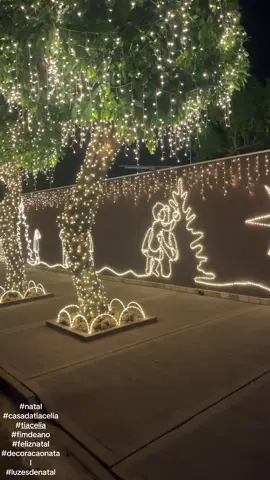 Casa da tia Célia, ela arrasou na decoração!!!#casadacelia #casadatiacelia#natal #feliznatal #decoracaodenatal 