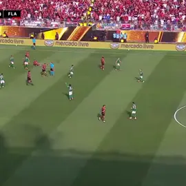 só ganha roubado esse varmengo  #viraliza #palmerias 