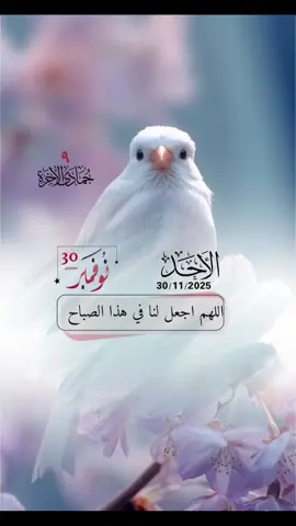 #صباح_الاحد_نهاية_شهر 