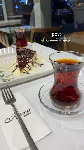 #تركيا🇹🇷اسطنبول #بوسفور_اسطنبول_تركيا🇹🇷❤️ 