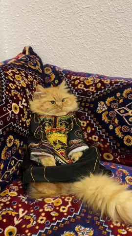 #محسن #عسير #ابها 