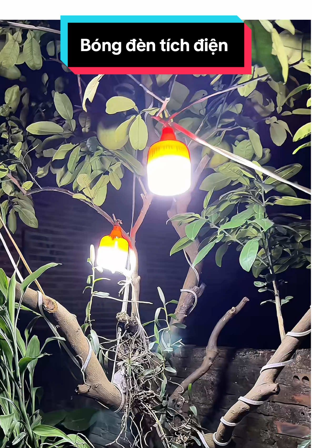 Bền sáng rất là tiện luôn, treo 2 bóng ngoài vườn là sáng chưng luôn rồi 👌#bongdentichdien #bongtichdien #bongtichdiensieusang 