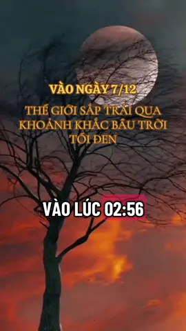 Ngày 7/12/2025#xuhuongtiktok #xuhuong #thinhhanh 