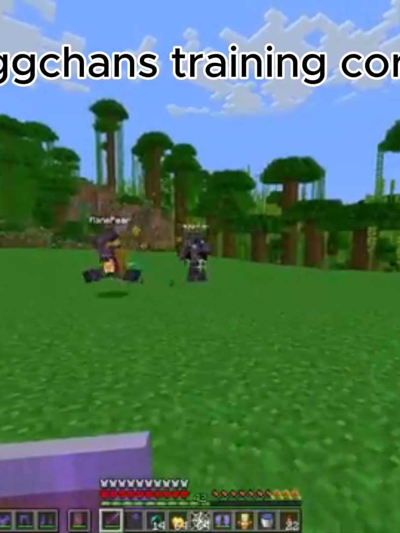 eggchans training core #unstablesmp #unstableuniverse #Minecraft #tiktok #foryoupage #fyp #wemmbu #manepear #eggchan #training #core