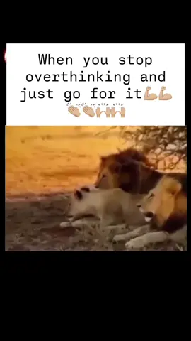 Deep Truths On Psychology & Life lake #psychology #psychologyfacts #fyp #foryoupage #foryoupageofficial