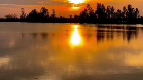 Đông đến rồi bạn có ny chưa, còn mình thì cứ 1minh thế thôi hẹ hẹ🥰🌾#chil #binhyen #canhdepthiennhien #muanuocnoi #xuhuongtiktok 