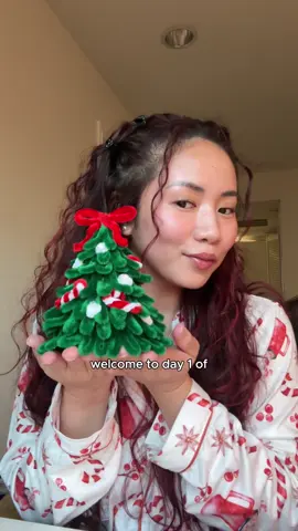 Let Craftmas begin!! 🥳 i’ve been seeing pipe cleaner crafts everywhere and it’s actually so easy 😍 let me know if you want a tutorial for the other ones too!  #craftmas #christmascrafts #crafts #pipecleanerscrafts #diychristmasdecor  