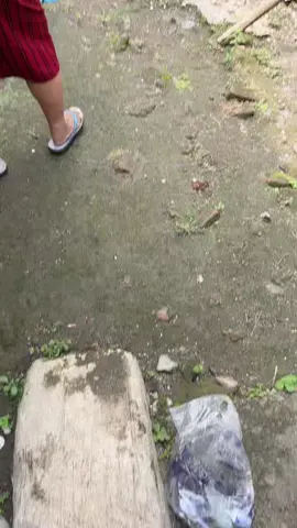 @mantuneyukemi #aisiteruuu#goyang panci#asekkasekk🤣