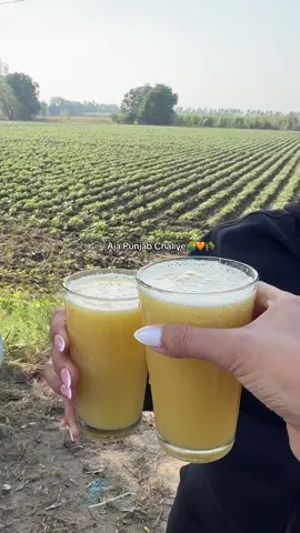 25+ hours later.. 🛺🌾🧡 #india #punjab #travel 