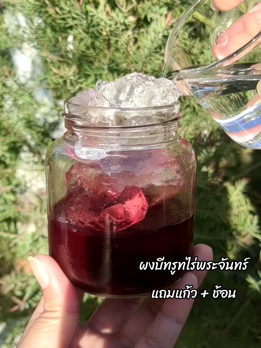 วันละแก้ว ผิวอิ่มฟูดูเด็กลง 🫜🫜 #ผงบีทรูท #ผงบีทรูทออแกนิค #ผงบีทรูทไร่พระจันทร์ #ช้อปกันวันเงินออก #พี่ดาเฮลตี้  @พี่ดาเฮลตี้ @พี่ดาเฮลตี้ @พี่ดาเฮลตี้ 
