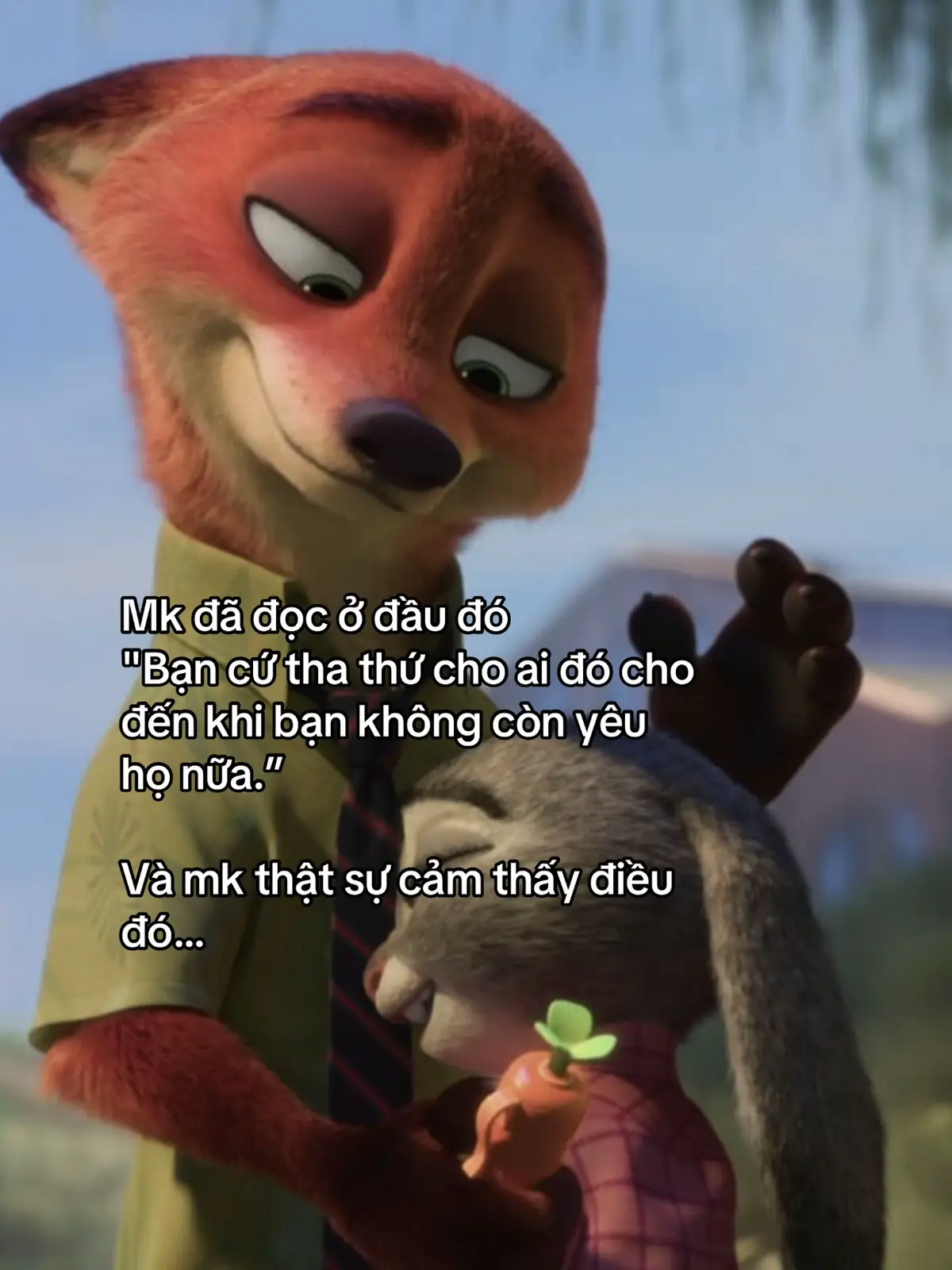 #xh #tinhyeu #zootopia 