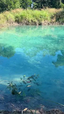 Có ai biết chỗ này chưa ạ🤭🤭🤭chắc em đến sau cùng quá🤭🤭#xuhuong #like #hashtag 