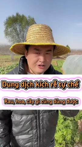 Tự pha dung dịch kích rễ #huongdan #trongcay #meohay #caycanh 