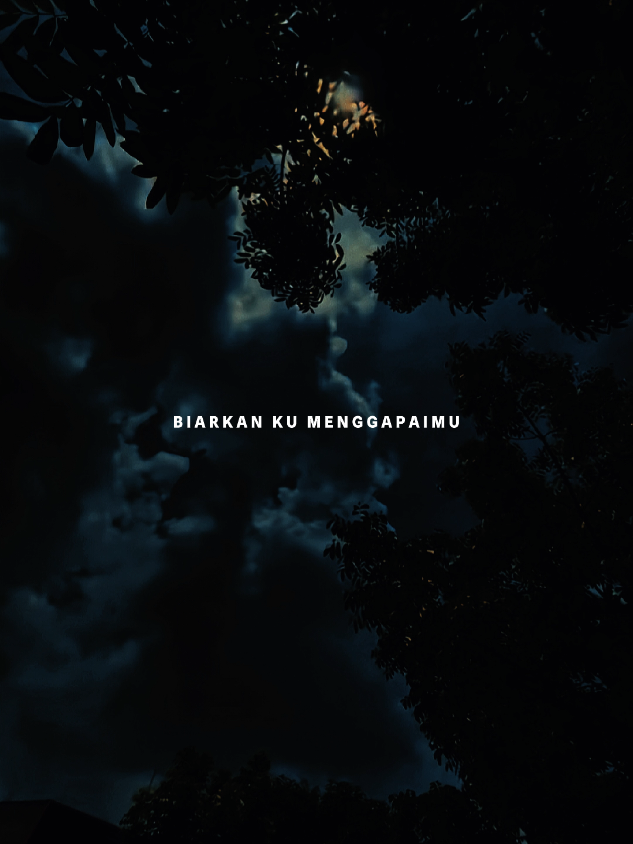 Bintang || Biarkan ku menggapaimu memelukmu memanjakanmu #liriklagu #overlay #fypviral #CapCut 