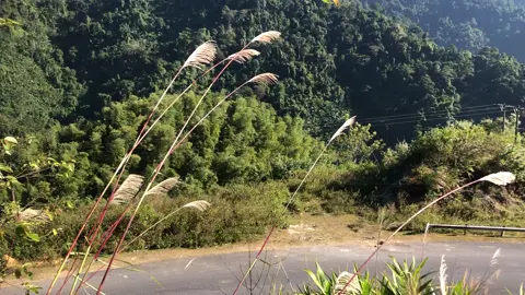 tà xùa mini đây #xuhuong #chill #xuhuongtiktok #bienmay 