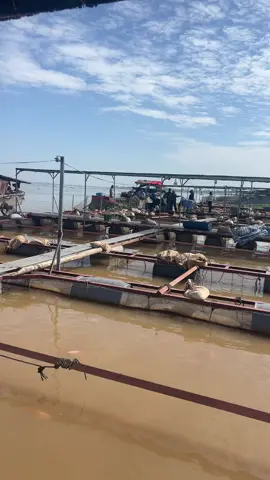 Nay bán 25k lỗ te tua thiệt rồi 