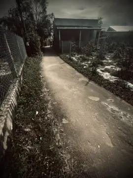 爱情是美好的，但爱情有时也会让人盲目…” 